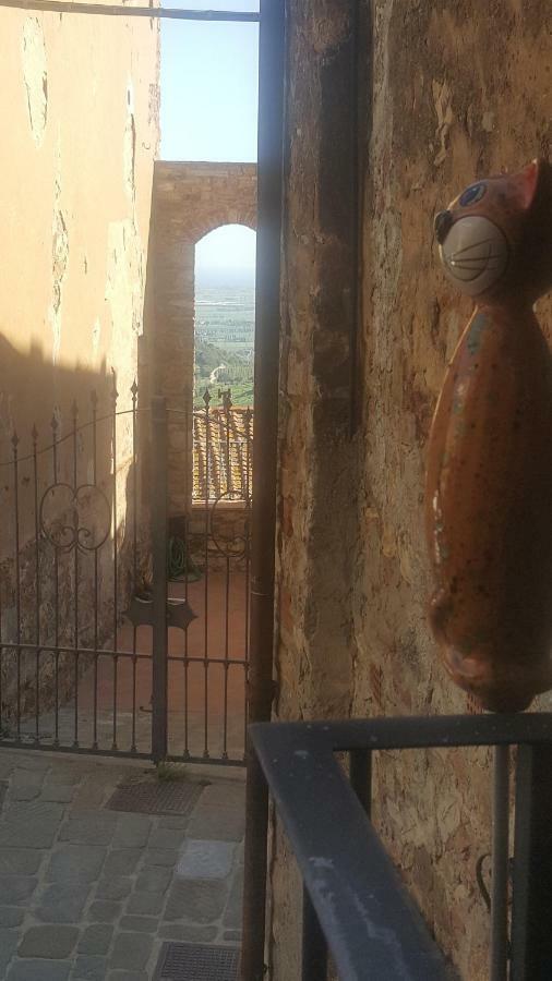 Casa Di Nella Apartment Campiglia Marittima Exterior photo